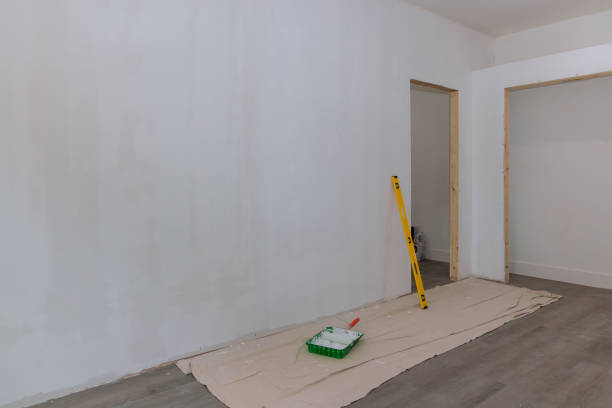 Best Drywall Removal and Disposal  in Catlin, IL